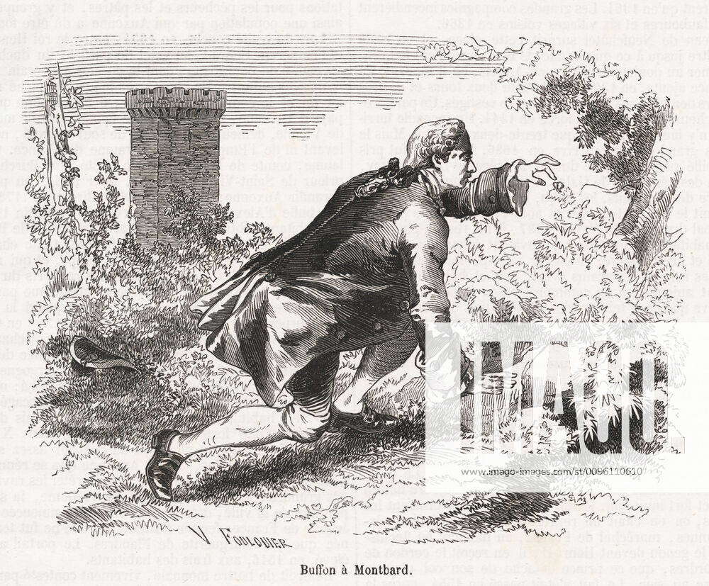 Buffon Insect BUFFON Biography BUFFON 1707 1788 catching an insect in Montbars ...