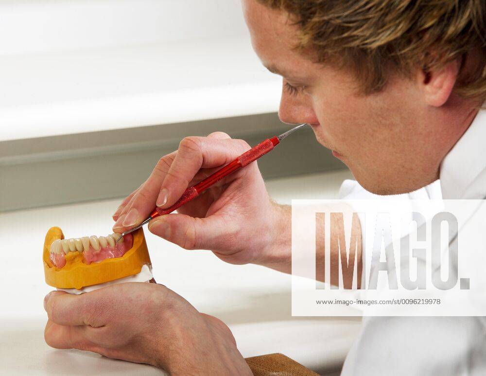 Dental technician, dental technology, modelling on lower jaw partial