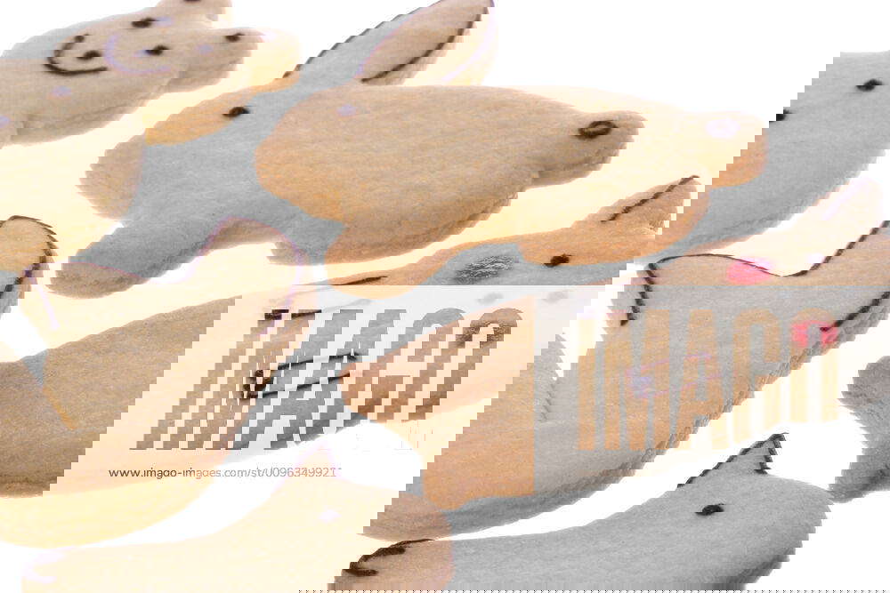 Animal Shaped Biscuits Isolated Isolated image of animal shaped biscuits. Y