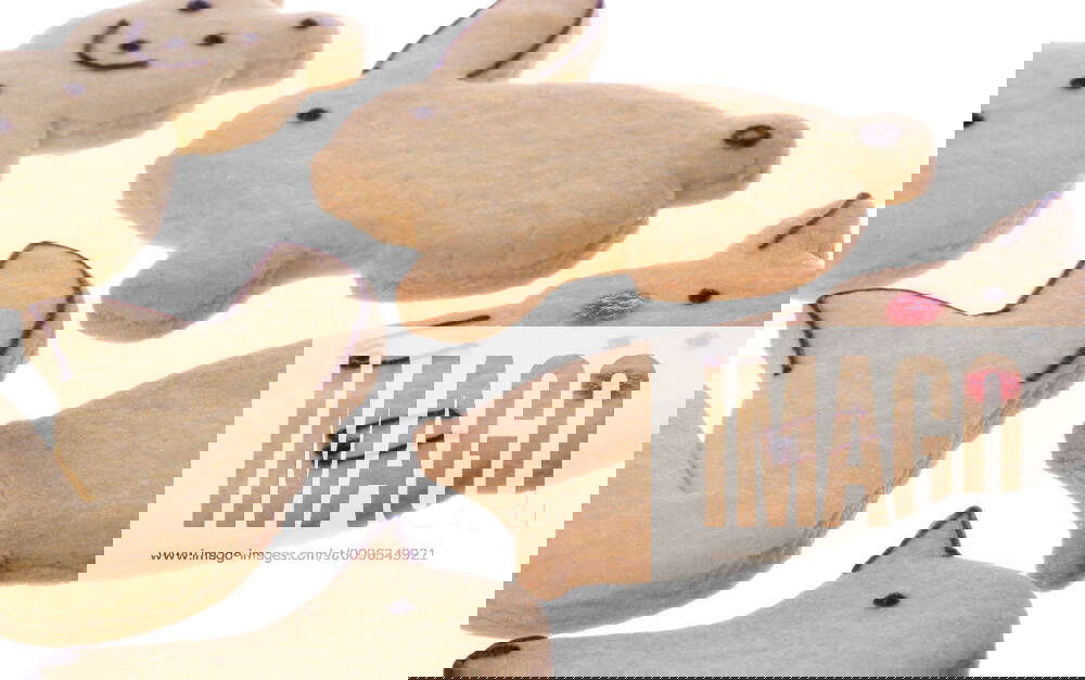 Animal Shaped Biscuits Isolated Isolated image of animal shaped biscuits. Y