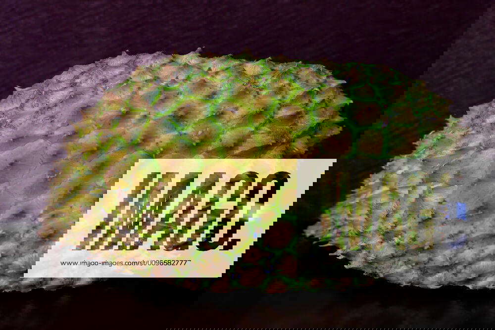 Durian Durian is regarded as the king of fruits, and shows its high nutritional value. Y