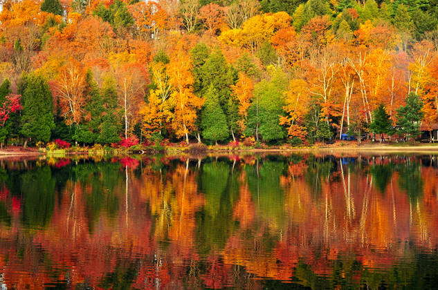 Fall forest reflections Forest of colorful autumn trees reflecting in calm