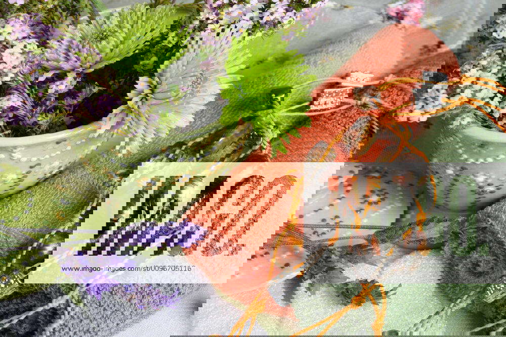 Spa Day Spa Accessories setting with face cloths, beads and flowers Y