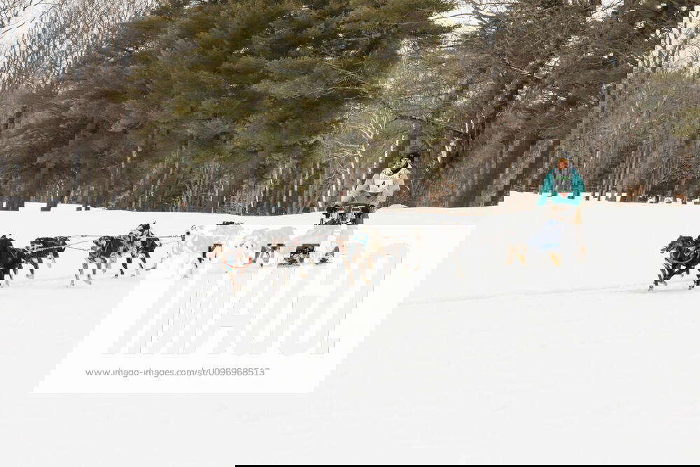 February 16, 2020, Laconia, New Hampshire, USA 91st World Championship