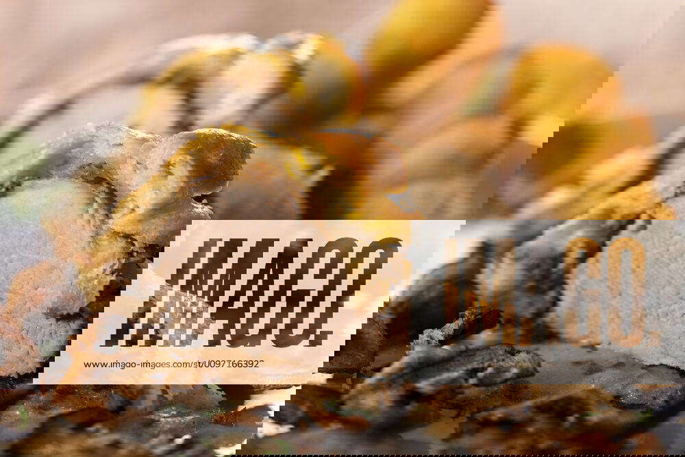 Pork fillet in puff pastry with croquettes