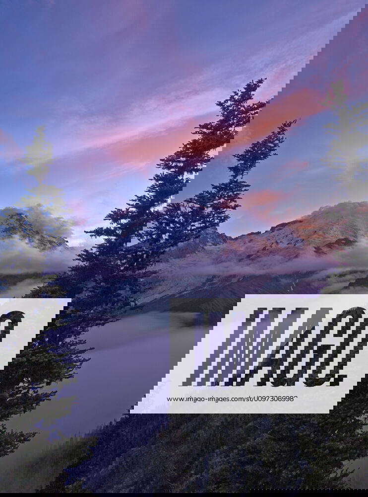 Mount Rainier from Glacier Overlook on Sunrise Rim Trail; Sunrise area