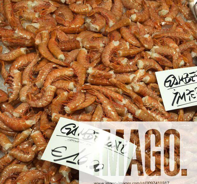 Fresh lobsters Palinuridae on ice, fish market, Venice, Italy