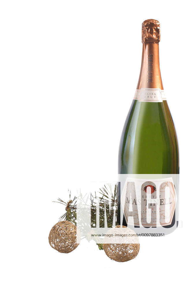 Spanish Bottle of Cava Sparkling wine. Catalonia cava mastinell ...