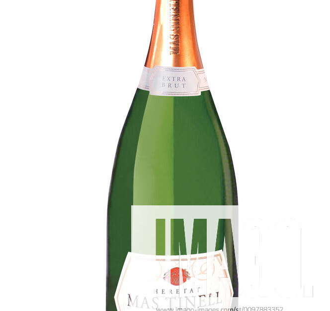 Spanish Bottle of Cava Sparkling wine. Catalonia cava mastinell ...