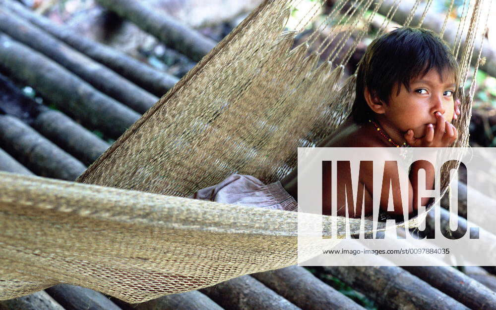 A Warao child in a hammock in the Orinoco delta. The Warao are an ...