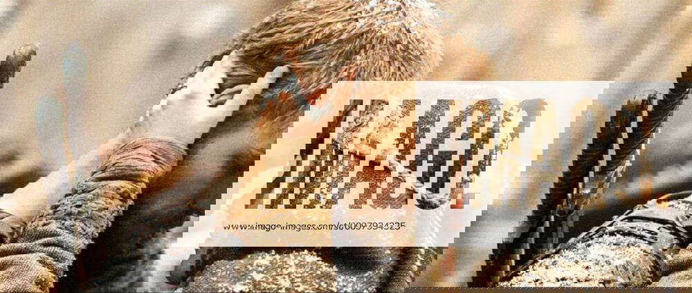 IMAGO - Images & Videos for Media, Sports & Brand.