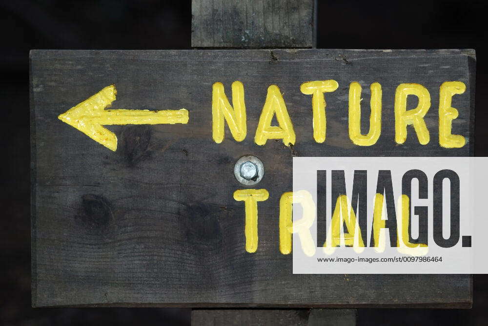 Nature Rally Signs Nature Trail Sign Wooden board with Nature Trail sign painted