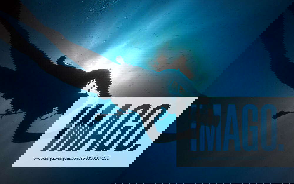 Diver Underwater cameraman in backlight. Y