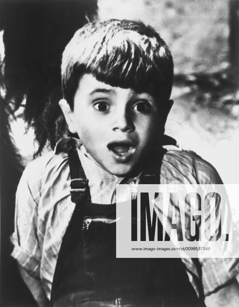 THE LITTLE RASCALS OUR GANG COMEDIES, Robert Blake (aka: Mickey ...