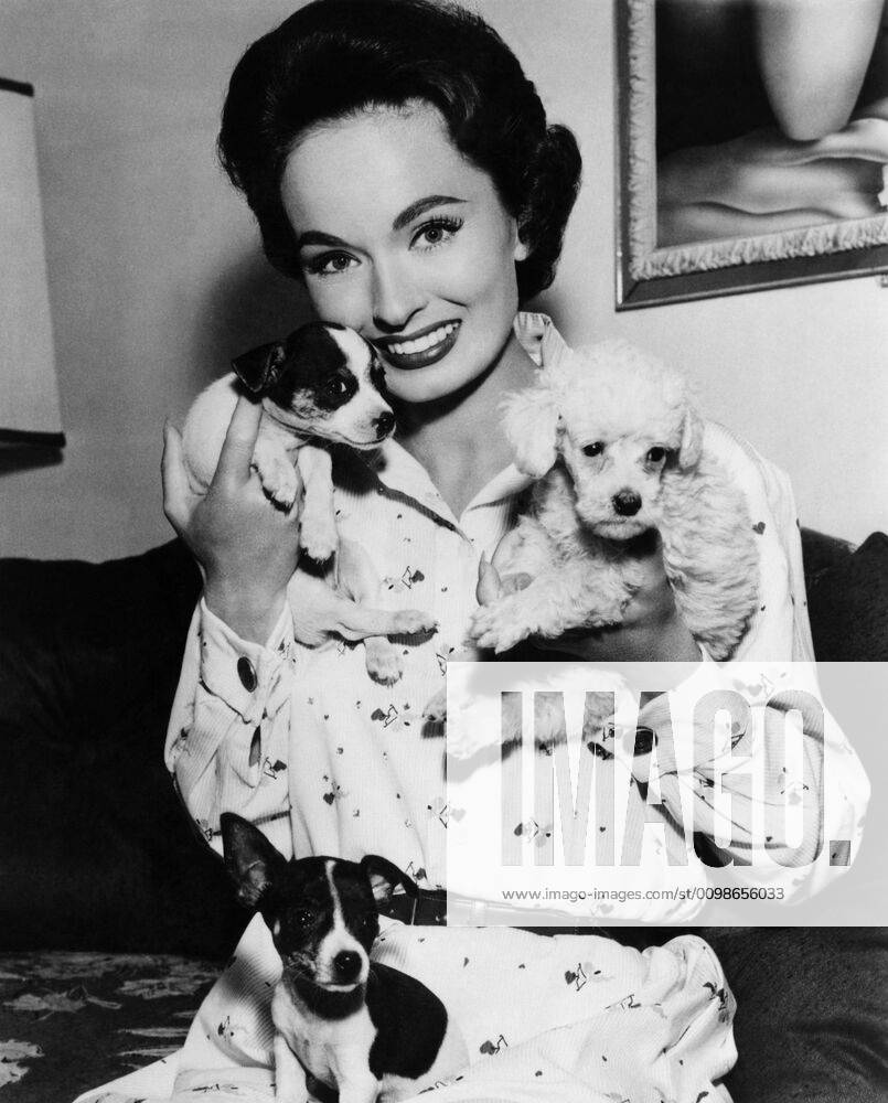 SLANDER, Ann Blyth, with puppies, on-set, 1956 Courtesy Everett ...