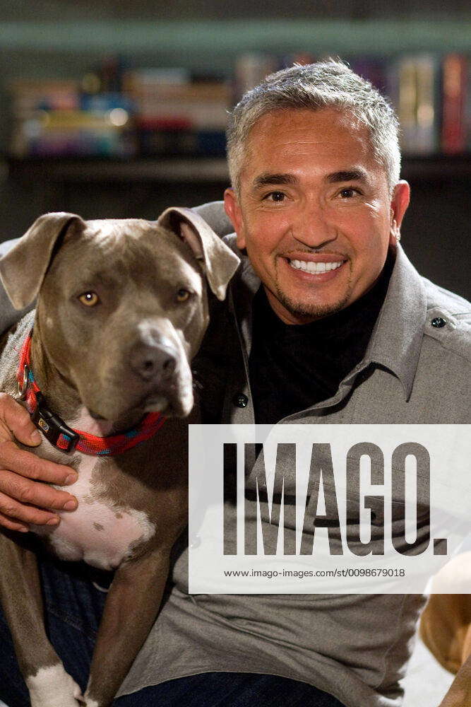 THE BACK-UP PLAN, Cesar Millan, 2010. Ph: Peter Iovino CBS Films ...