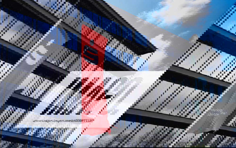 Tuebingen Theme picture, symbol picture Kreissparkasse, Sparkasse, finances, economy logo, flags