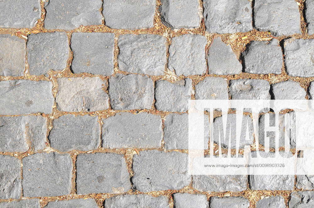 Brick Texture Brick Texture Path Made of Small Grey Bricks Y