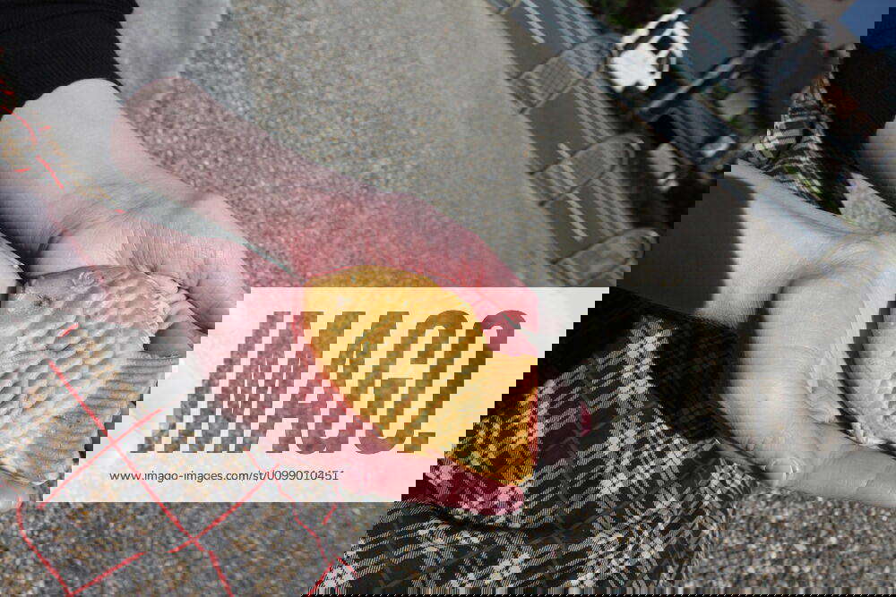 Japanese fish cake Fish cake with redbeans inside