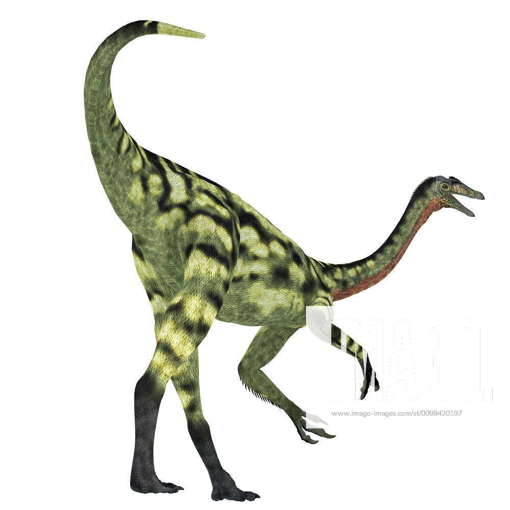 Deinocheirus, Animals