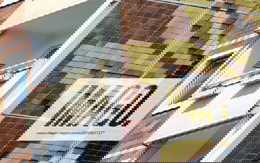 The riots in Rostock Lichtenhagen in Mecklenburger Allee between 22 and