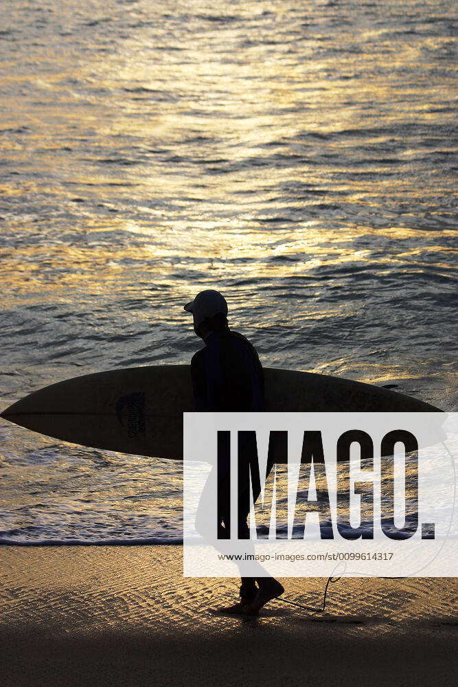 Surf Surf in Los Cabos, Baja California Sur, Mexico