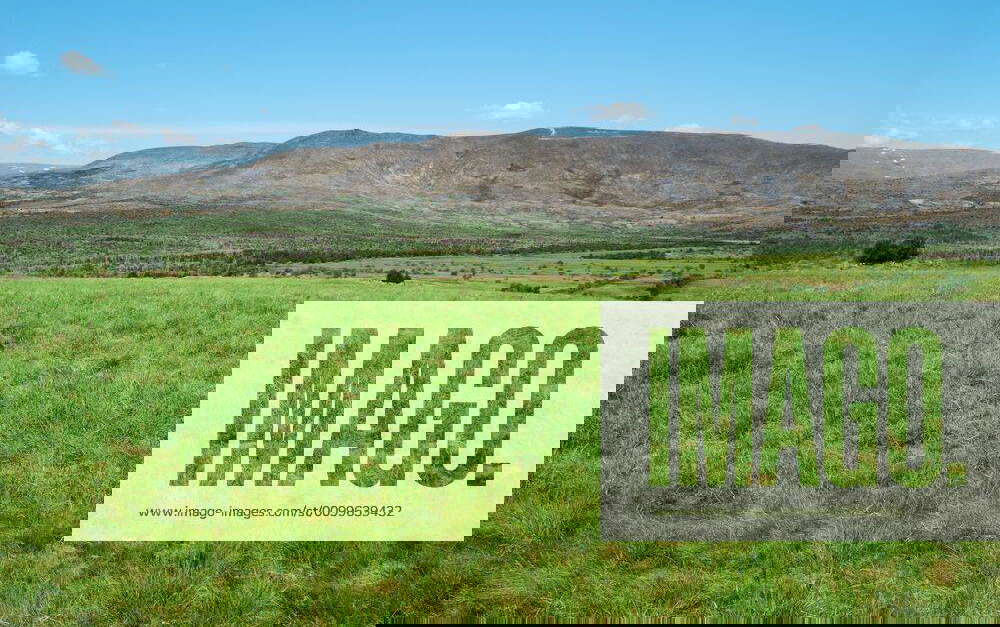 Fields and mountains Green field. Grey mountain Y