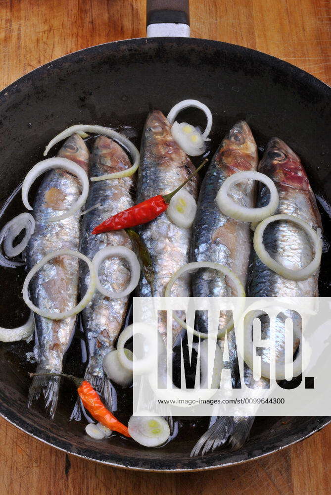 Grilled sardine in a pan ready to eat grilled sardine in a pan ready to