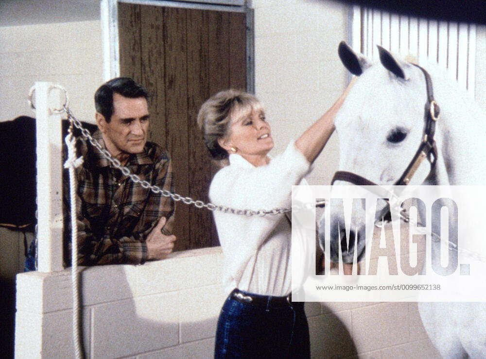 DYNASTY, (from left): Rock Hudson, Linda Evans, (Season 5), 1981-1989 ...