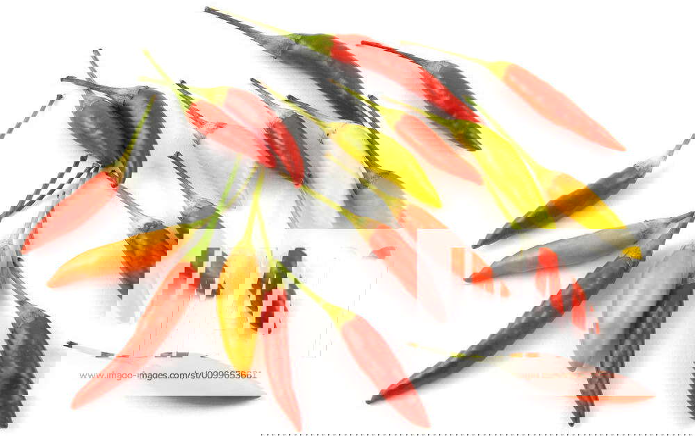 Cayenne peppers Red, orange & yellow cayenne peppers Y