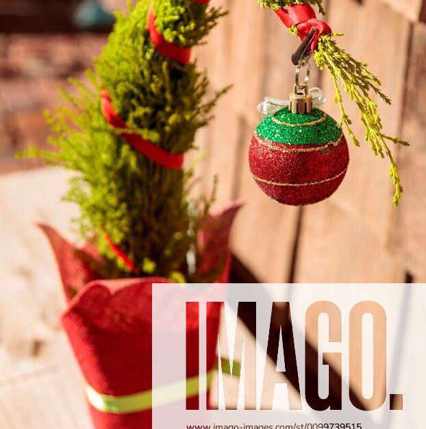 Tiny Christmas tree with one ornament in December xFotosearchxLBRFx