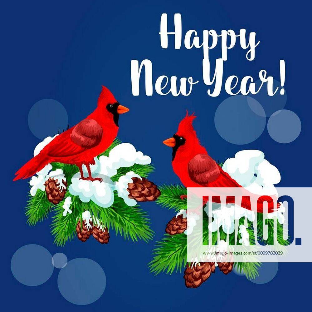 Cardinal birds holiday greeting card. Red cardinals sitting on snowy pine branch with cones and