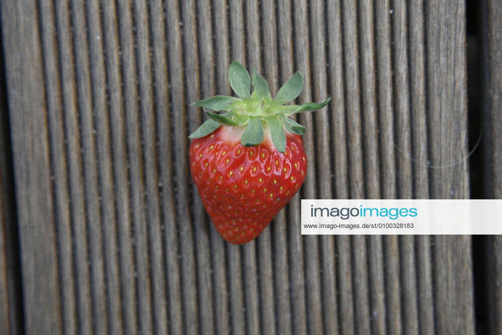 The strawberry, one of the most popular fruits in Germany, is back in