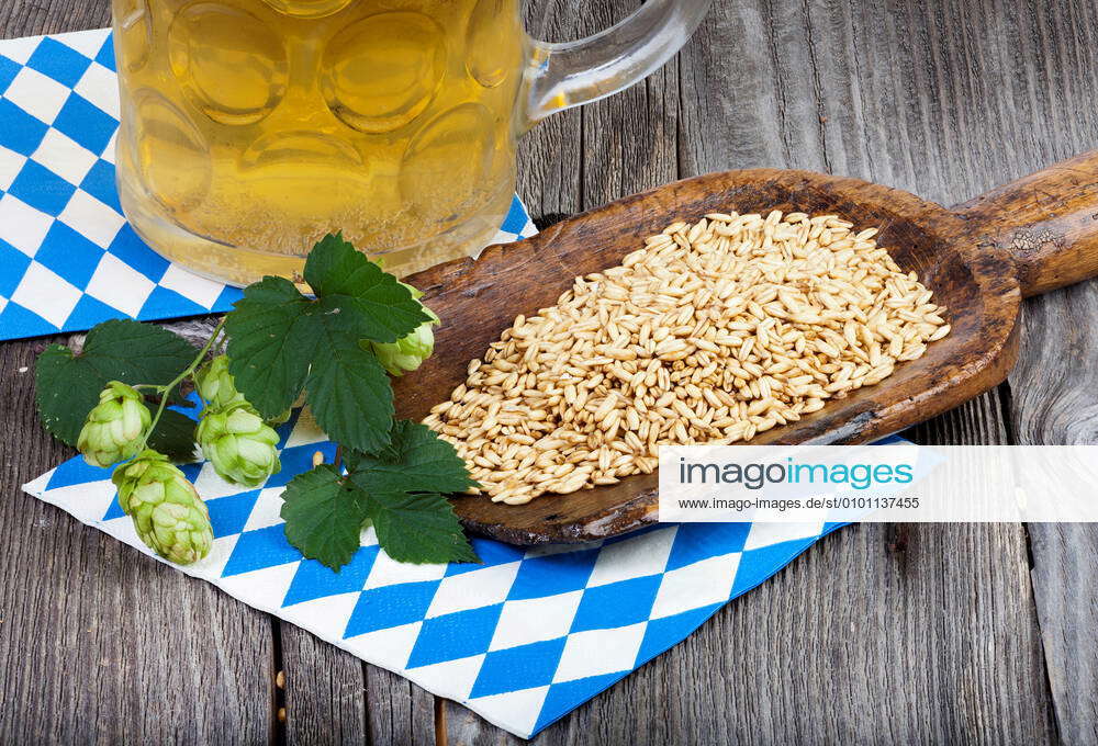 beer,ingredient,malt