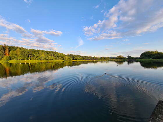 Noswendel theme photo nature, home , Evening mood at the Noswendeler ...