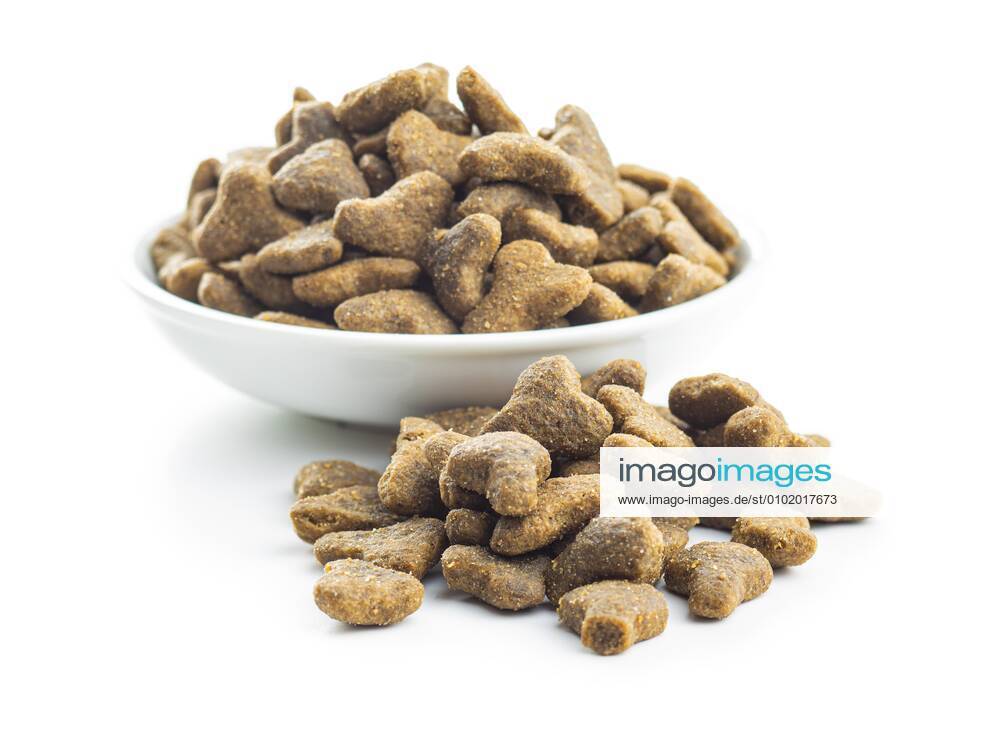 Dry kibble pet food. Kibble for dog or cat