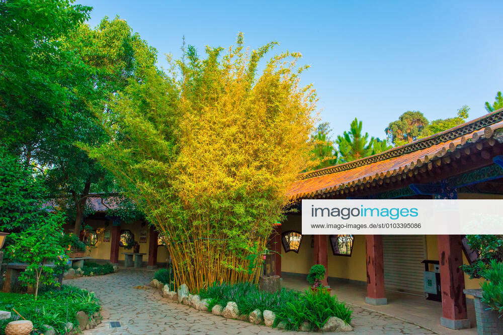 Yellow Classical Promenade in Cuihu Park, Kunming