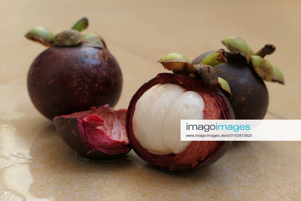 Mangji persimmon (scientific name Garcinia mangostana L.), commonly