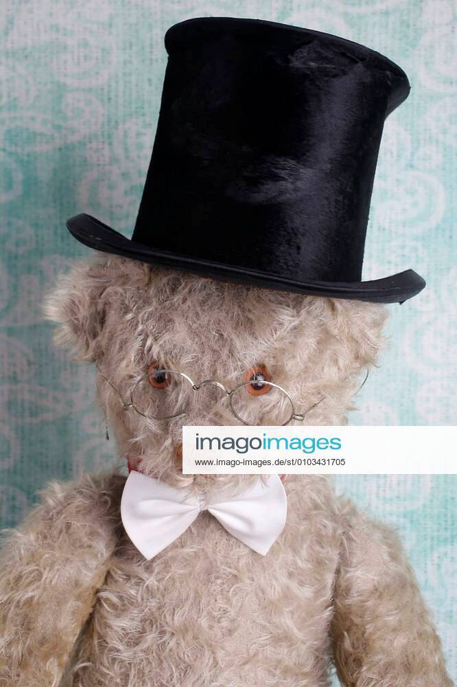 teddy bear top hat