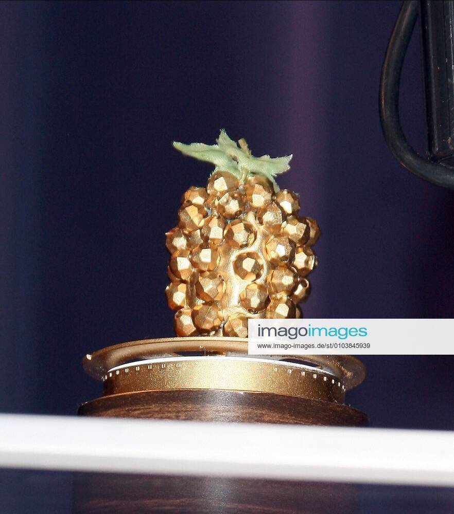 The Razzie Aka The Golden Raspberry Award Worst Movie Award The Gala