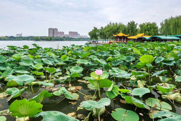 Daming Lake, Jinan