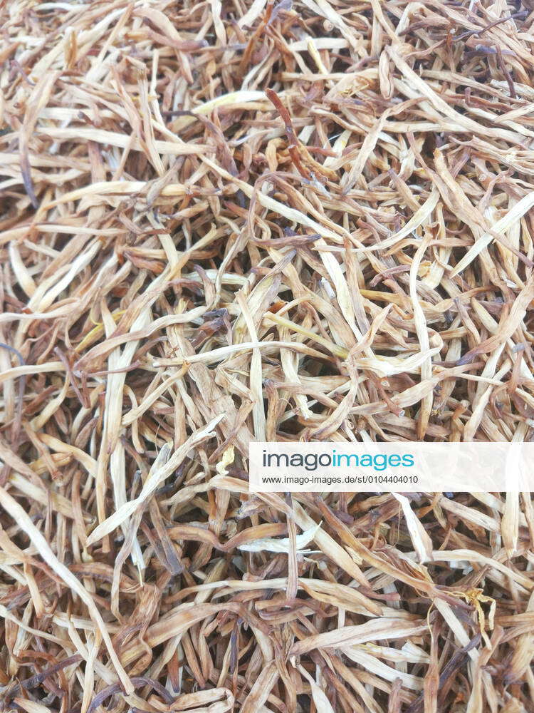 Day lily health food tonic tonic