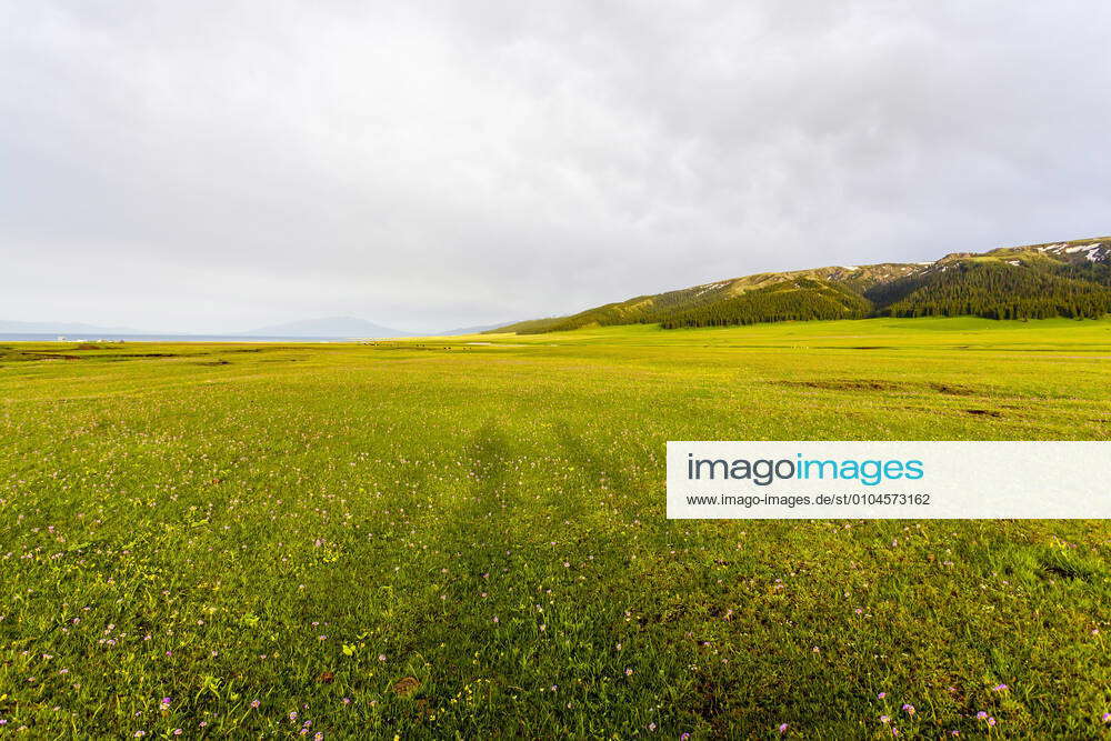 Scenery Of Sailimu Lake Grassland In Yili Xinjiang Western China