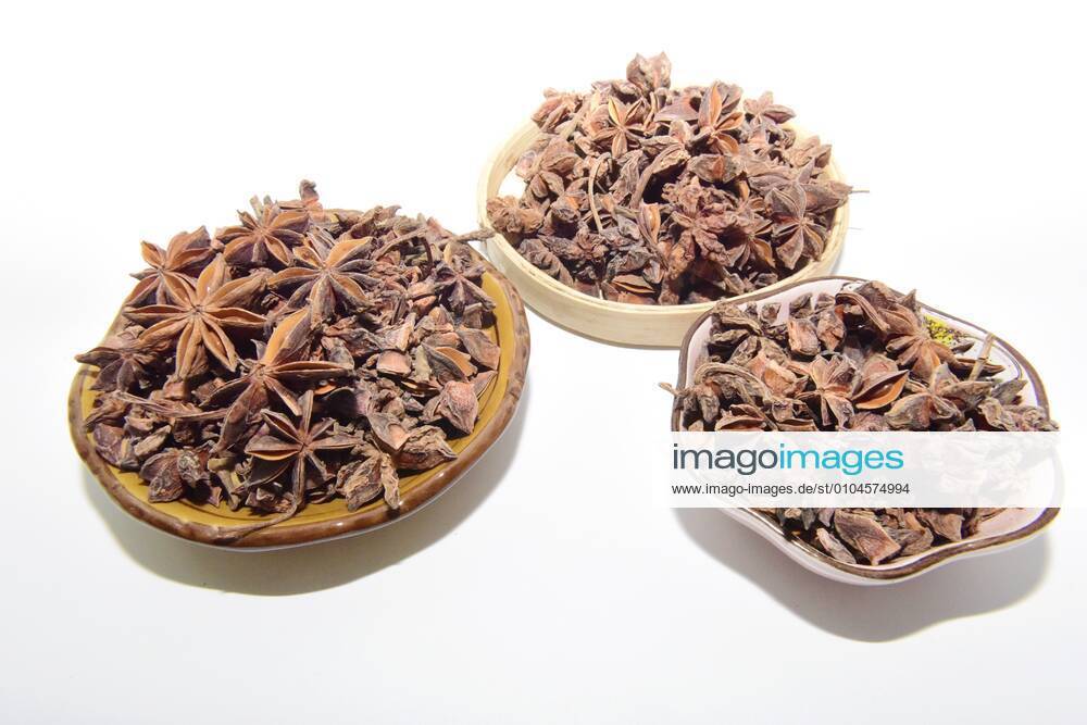 Chinese herbal medicine star anise