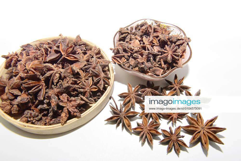 Chinese herbal medicine star anise