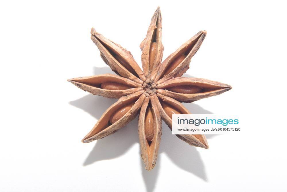 Chinese herbal medicine star anise
