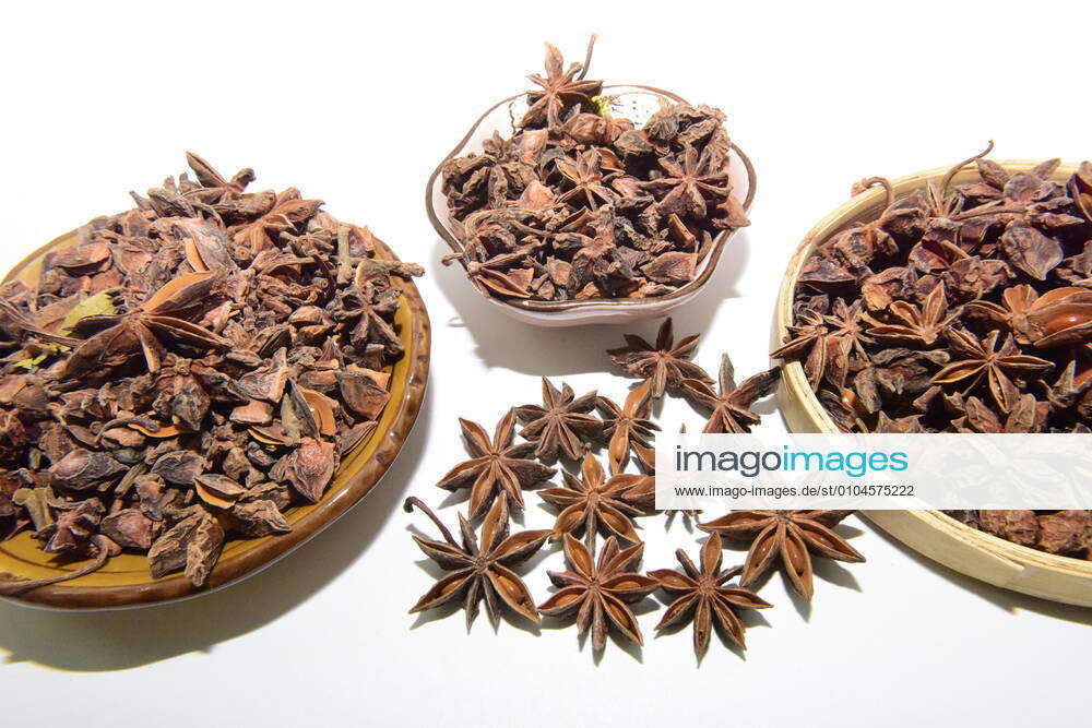 Chinese herbal medicine star anise