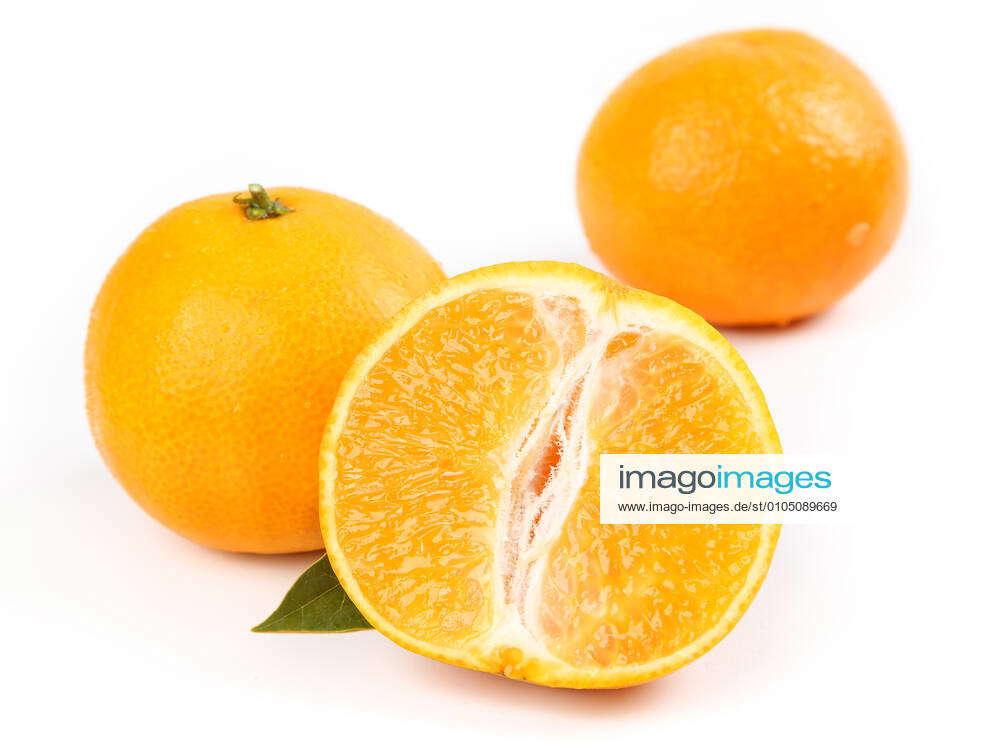 Aiyuan Aiyuan Jelly Orange Aiyuan 38 Jelly Orange Aiyuan 38 Aiyuan Jelly  Orange Aiyuan 38 Citrus