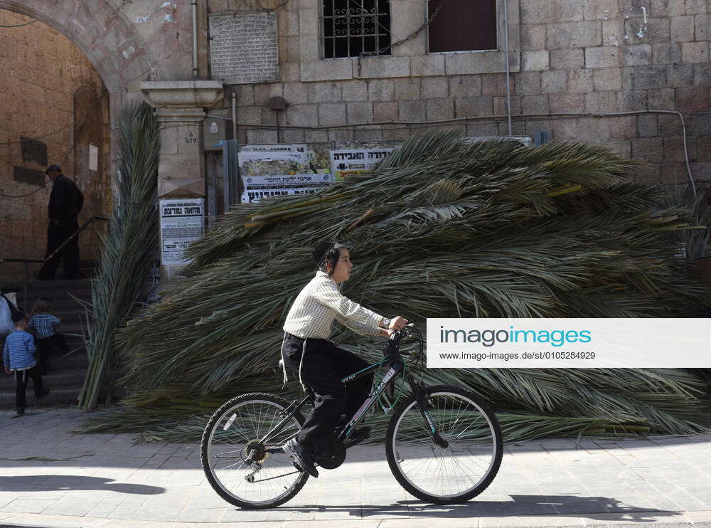 An UltraOrthodox Jew rides a bicycle past palm branches for the Jewish