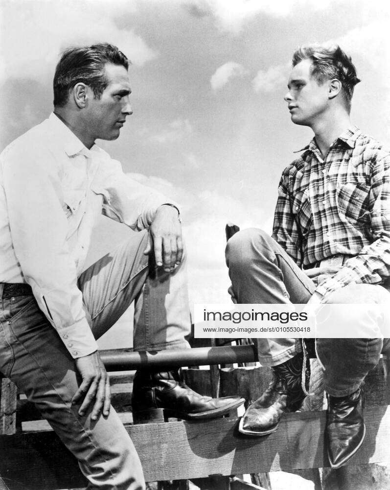 HUD PAUL NEWMAN, BRANDON DE WILDE HUD Date: 1963 Mandatory credit line:  Image courtesy PARAMOUNT